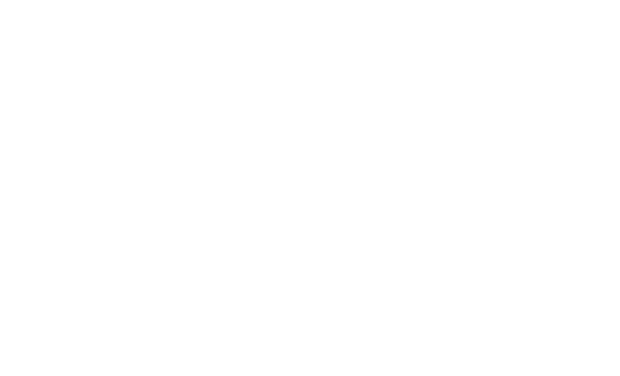 MetaMatch — your bonding compass